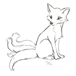 Kitsune Four Tailed Sketch