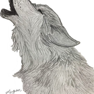 Wolf Howling