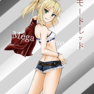 Anime - Fate - Mordred