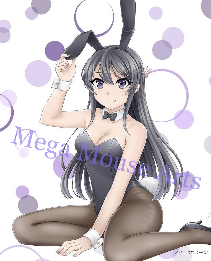 Bunny Girl Costume Anime